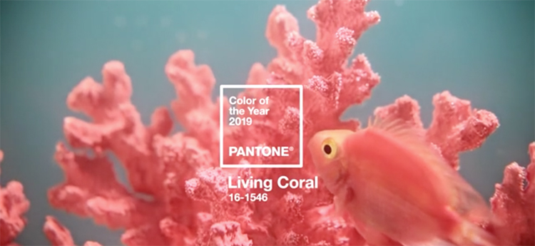 Pantone 2019 Living Coral