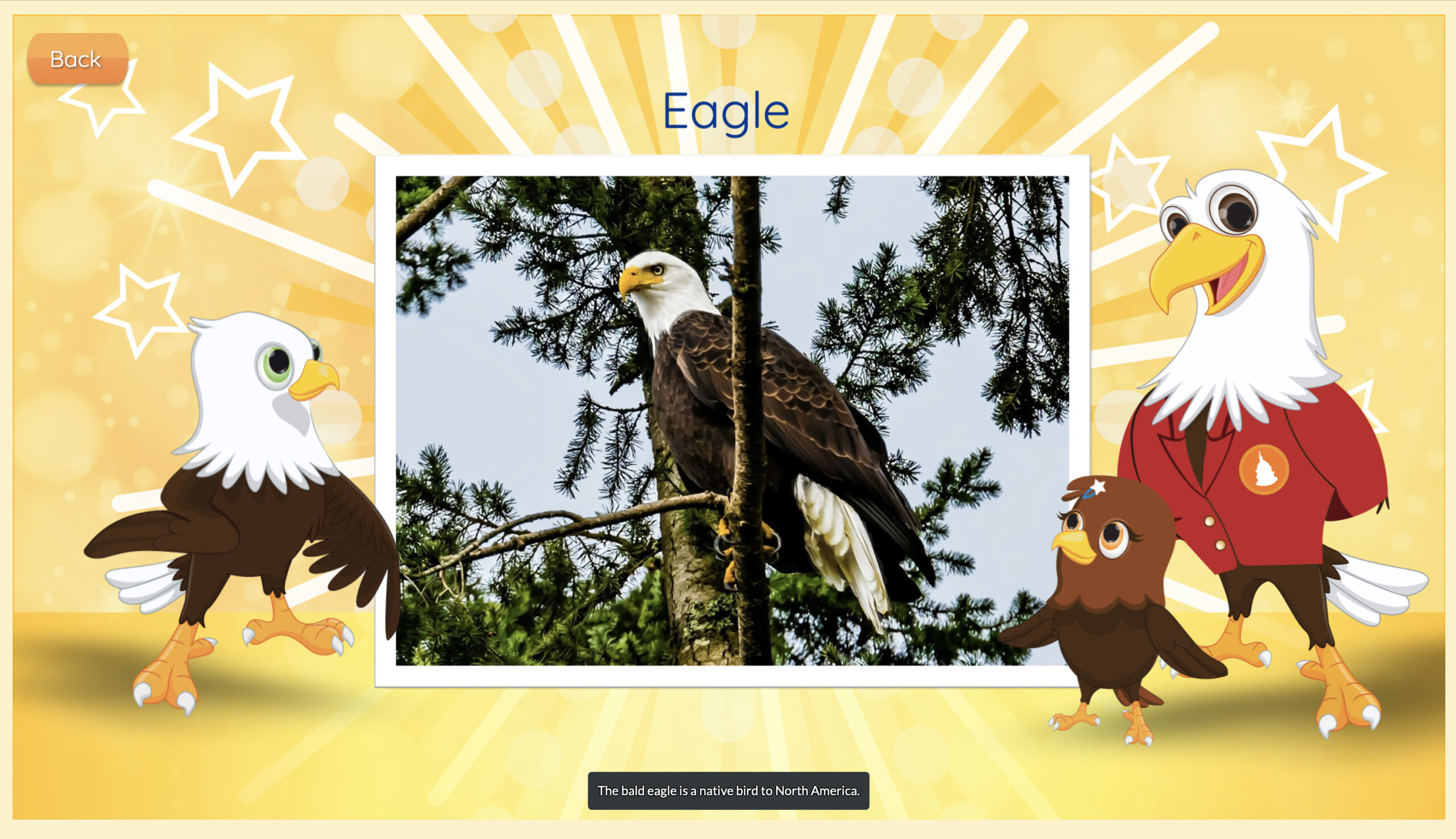 Discover Capitol Symbols - Congressional Seal - Eagle Symbol Example
